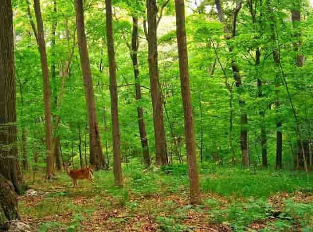 不得强制学生教师参与暑期托管