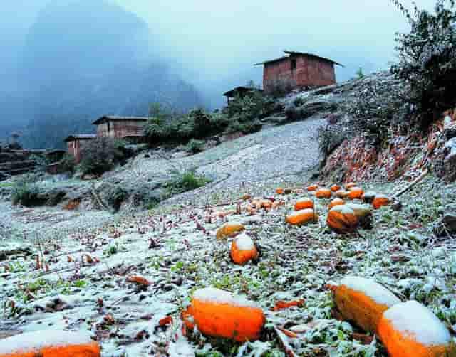 女人会引起妇科疾病吗