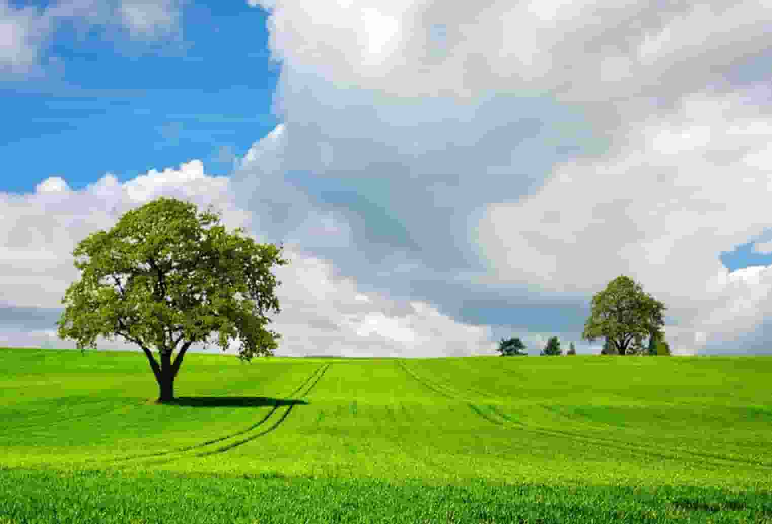 小米的过去、现在和未来