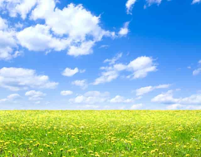 处罚环境违法案件(环境违法案件移送公安)