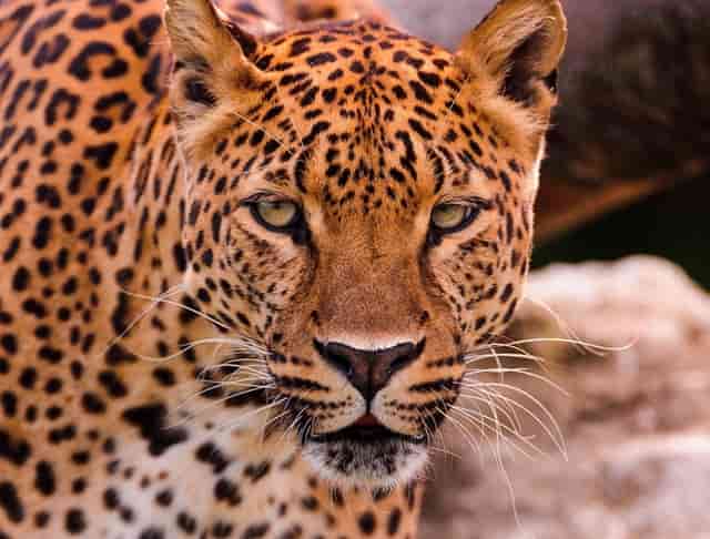 管理措施不包括什么(管理控制措施包括哪些内容)