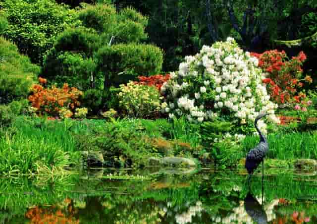 HECT澳洲瀚德移民： 「澳大利亚留学」热门专业与院校推荐