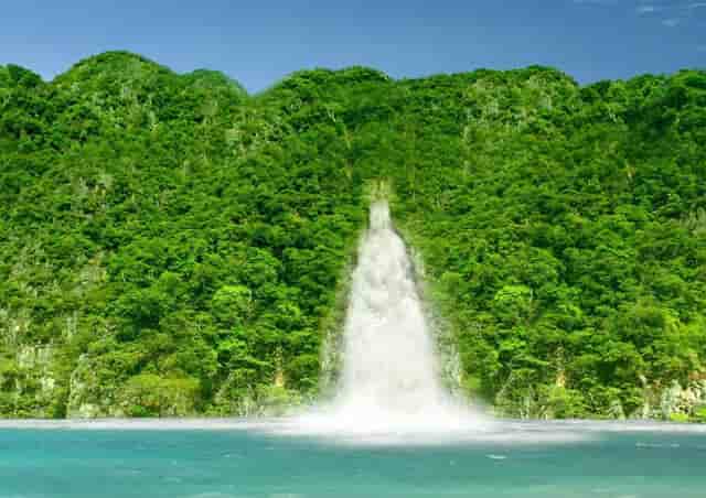 袖虎强烈建议，猫咪练胆要趁早