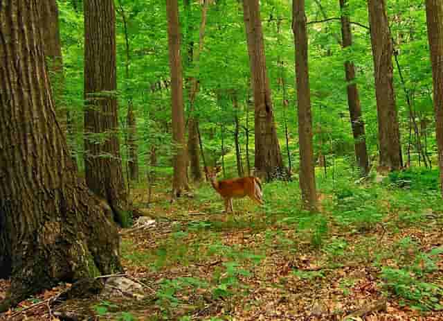 北海传销的套路是什么？