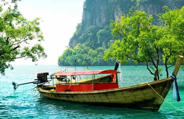 袖虎加盟店：养宠骗局分析1