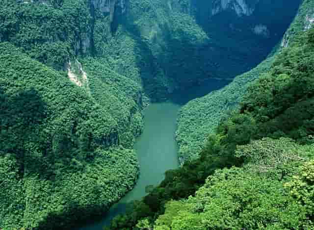 杏仁优护：老年人如何预防护理大肠疾病？