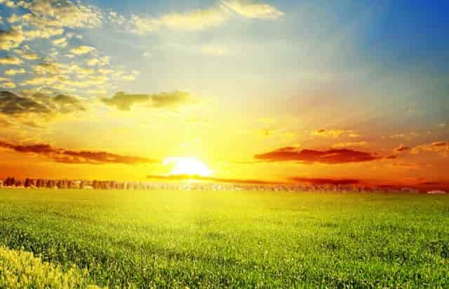 袖虎养猫疑问：它居然流红色的泪？！