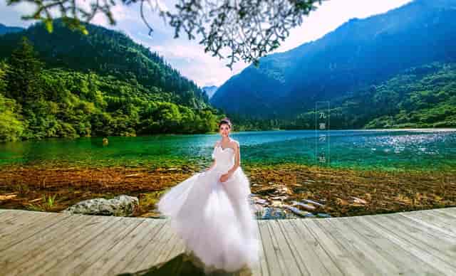 袖虎病狗攻略：狗真的都爱吃骨头吗