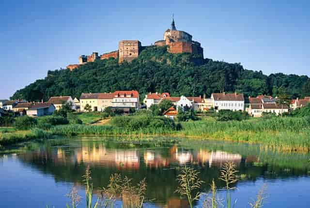 确诊后怎么确定新型肺炎(怎么确定是首次确诊)