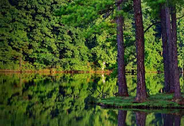 重磅揭秘2021年12生肖运势！谁犯太岁？谁事事顺？