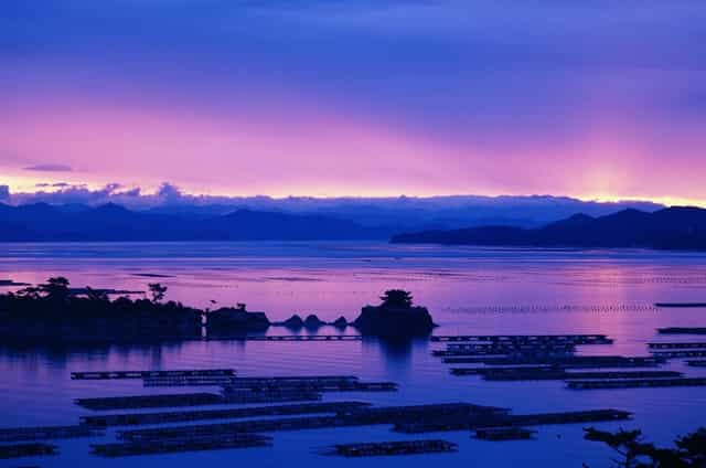 数藏圈的一匹黑马——火兔“FIRE BUNNY”