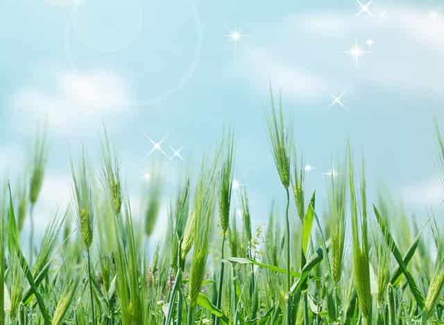 学点“猫咪心理学”，袖虎很靠谱