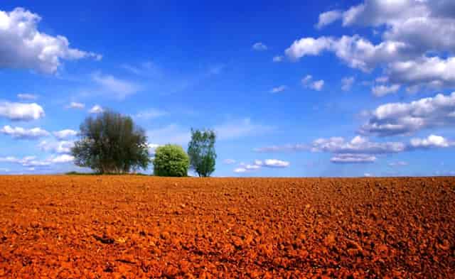 市场新闻|出台最严格的直播奖励规定:主播和奖励用户必须有实名制 未成年人不予奖励
