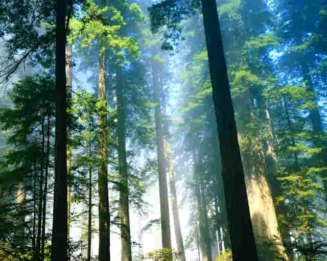 沈懿:也许在拜登就职后 中美科技战争才刚刚开始