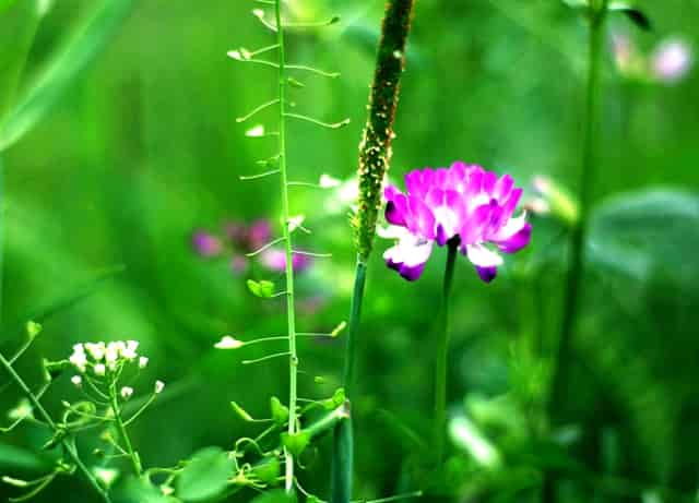 中台产品经理实战(20):中台万能MSS建设框架