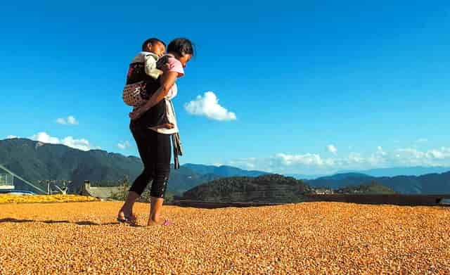 袖虎建议养“狗的问题”和“人的问题”一起重视！