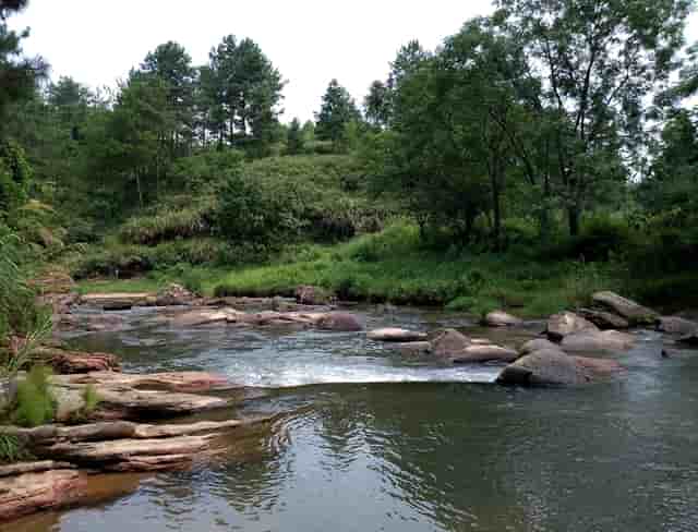 命带旺夫运的生肖