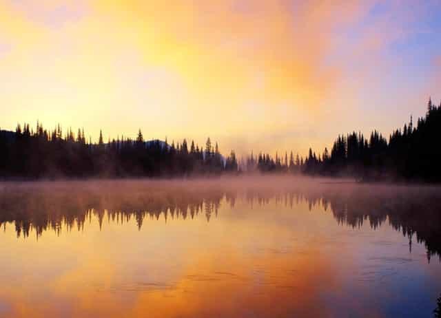 前线| Google Photos不再免费提供无限存储空间 意在推广Google One支付计划
