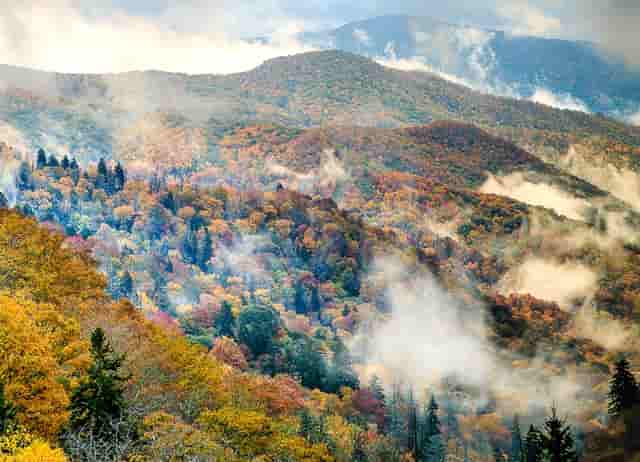 一篇理解原子设计的文章