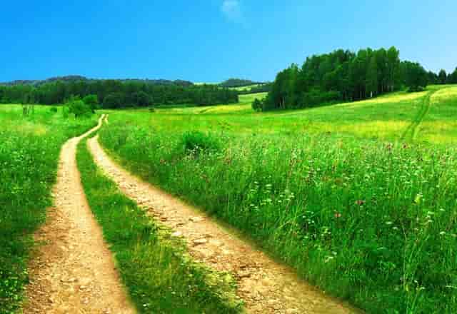 袖虎病猫攻略：关于猫咪眼泪这事你可能不知道