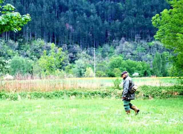 袖虎病猫攻略：猫咪突然不吃东西，很可能是这个原因