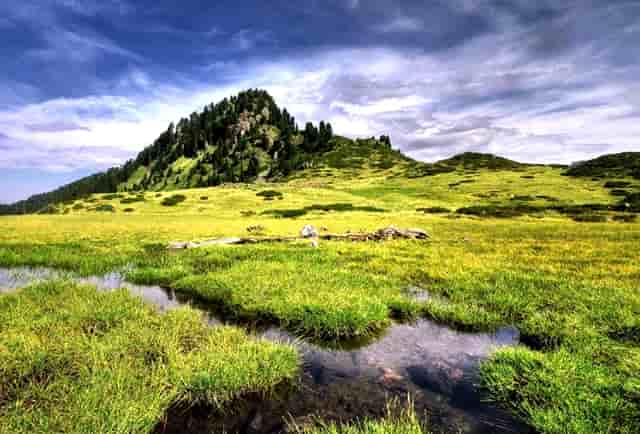 走在淘宝专版前列 年活跃买家突破1亿 阿里加快抢占下沉用户步伐