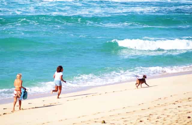 国家部署老年人融入智慧社会 工信部推出微信等老龄化改革