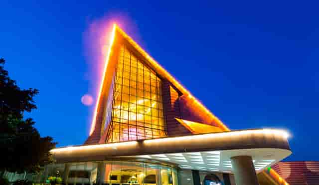 养宠垃圾处理，袖虎的建议在这里！