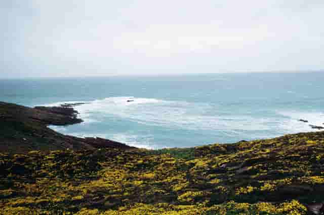 鸿星尔克为什么这么红(为什么不要穿鸿星尔克)