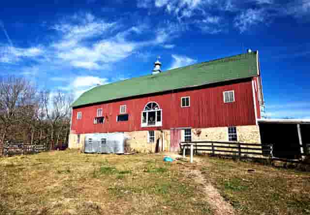 袖虎病猫攻略：猫多大可以配种？