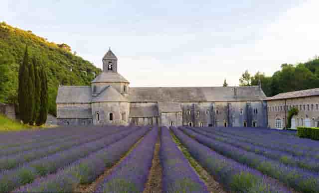 蔡嘉珍榮獲註冊理財規劃師資格