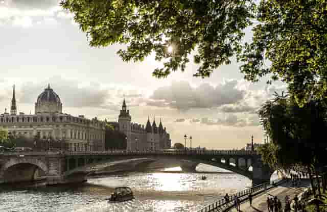 袖虎病猫攻略：猫咪发情会持续多久？