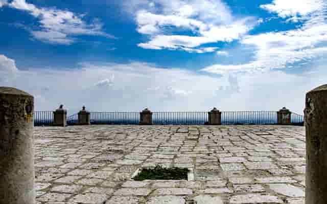 袖虎病猫攻略：加菲猫出现黑下巴是什么原因