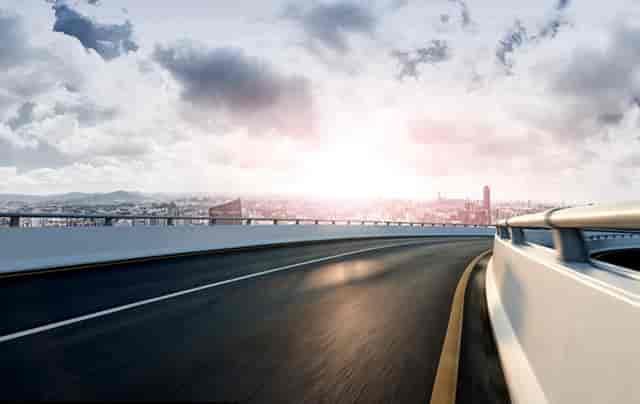 袖虎病狗攻略：狗狗鼻炎别大意