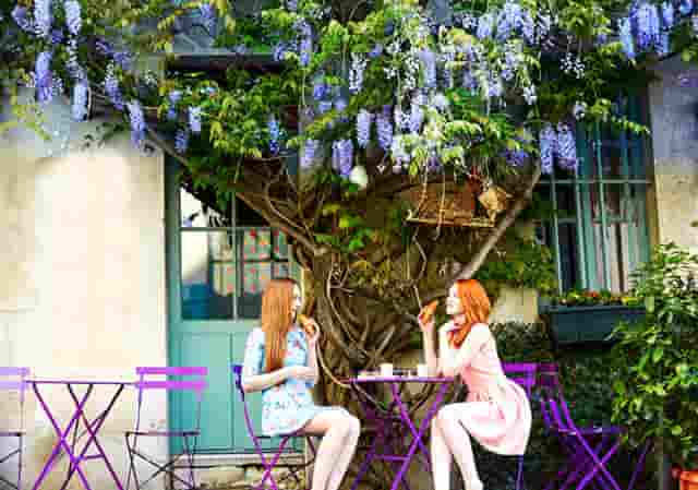 掌上世界杯火热来袭 枞横世界杯预测锦标赛进行中