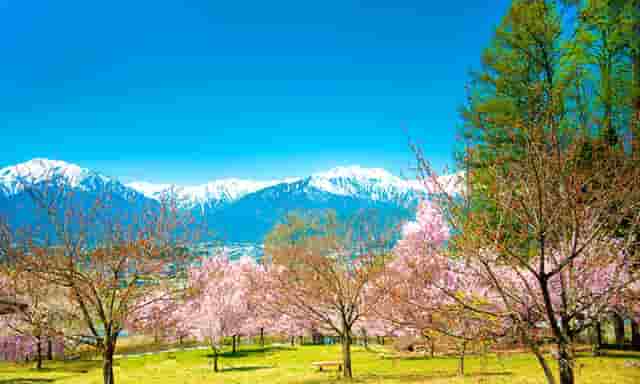 正版卡伤害最高的卡