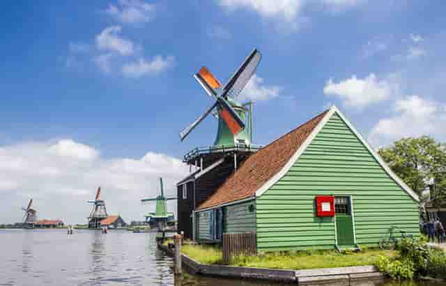 袖虎病狗攻略：狗发烧怎么办