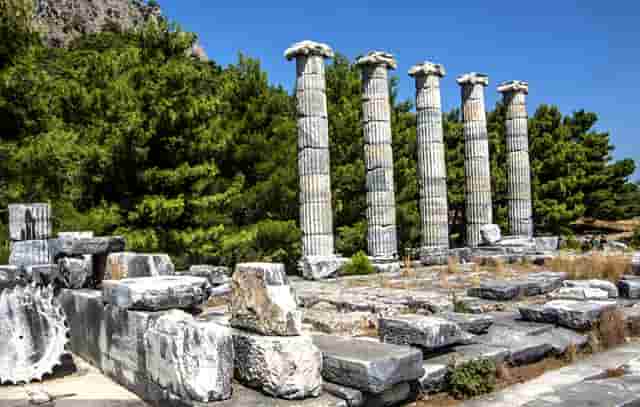 袖虎养宠秘笈：宠物喂养的十大误区