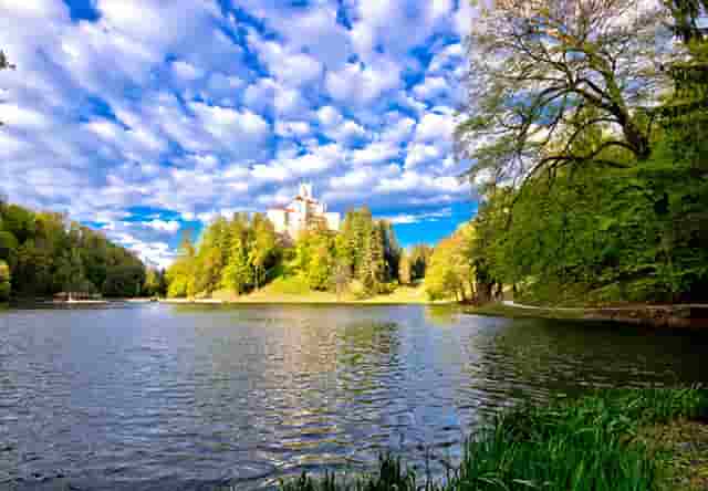 袖虎加盟故事：卖猫骗局