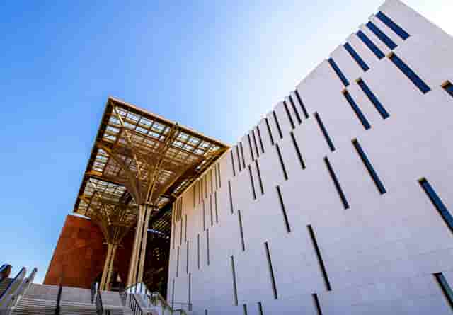 袖虎病猫攻略：小心换粮会软便！