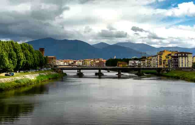 袖虎病狗攻略：狗身上碰不得的7个地方，小心无知被狗咬