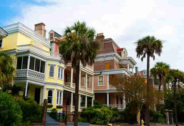 进入热门宠物行业，“口碑王”袖虎宠物带你成功！