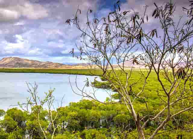 中国女排没有夺冠了吗(夺冠中国女排电影完整版)