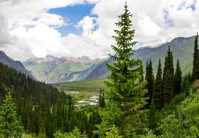 3M欧米茄蝶飞系列424.13.27.60.55.001腕表