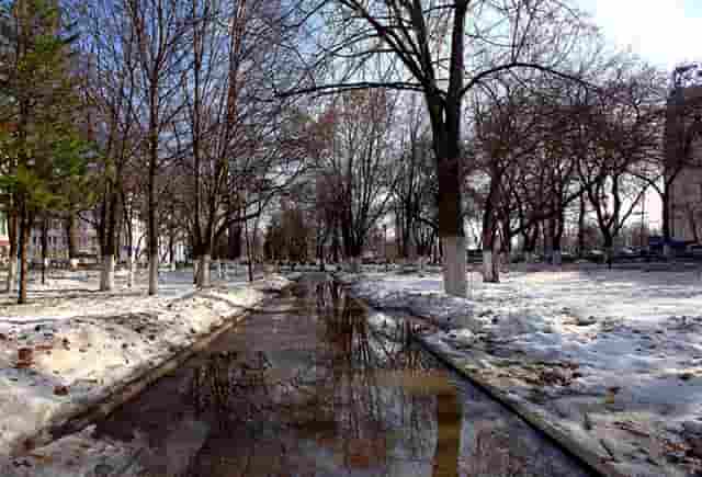 袖虎病猫攻略：猫便秘能喝牛奶吗