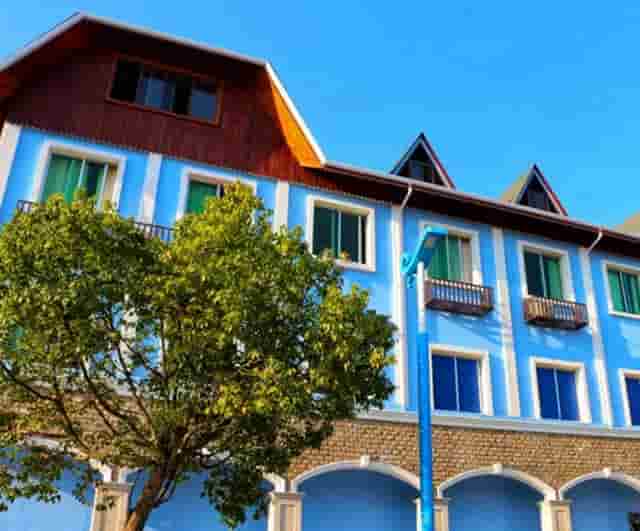 茶叶之前需要洗吗(茶叶需要先洗吗)