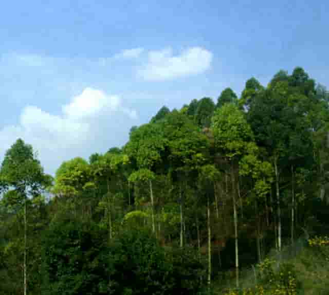 防洪度汛落实情况(度汛措施落实情况)