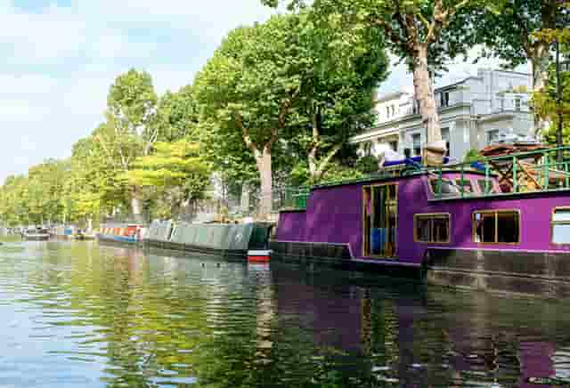 袖虎病猫攻略：人吃的药能喂猫吗？