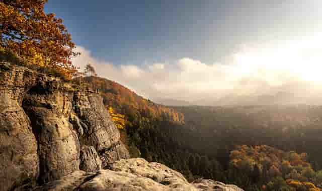 瘦长脚的专业跑鞋
