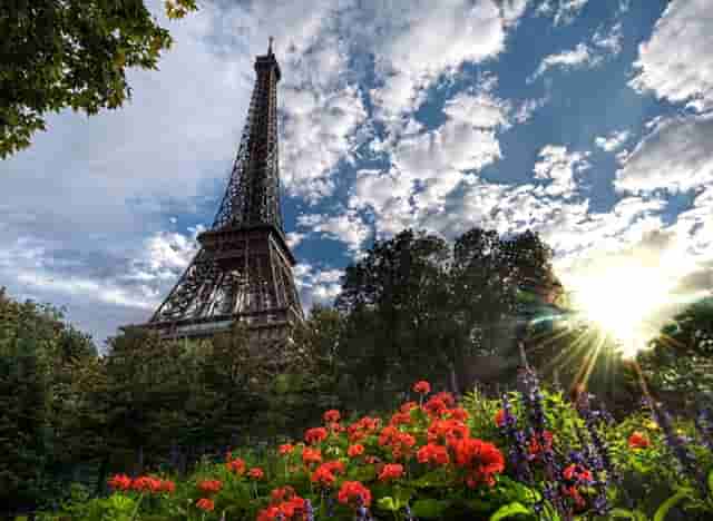 袖虎病狗攻略：狗的几种常见皮肤病，你都知道吗？